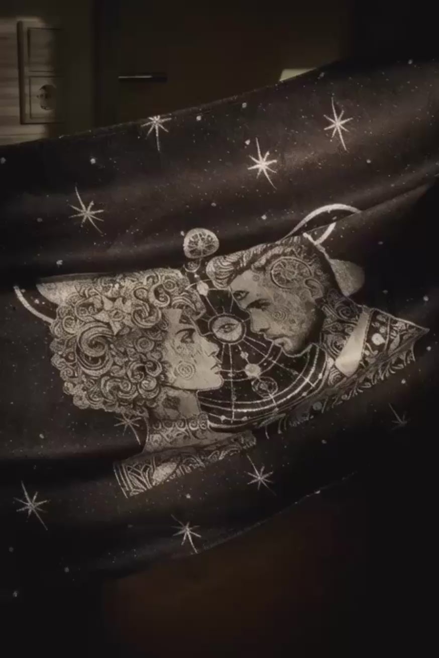 Baby Carrier Flip Vega and Altair